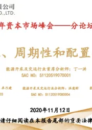 2021年资本市场峰会——分论坛行业策略报告:结构性、周期性和配置性思维