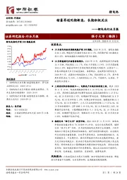 锂电池行业月报：销量再创同期新高，长期积极关注