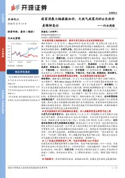 石油化工行业周报：疫苗进展大幅提振油价，天然气政策利好&长丝价差维持高位