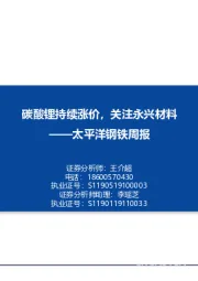 太平洋钢铁周报：碳酸锂持续涨价，关注永兴材料