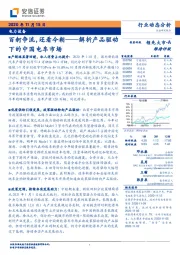 电力设备行业动态分析：解析产品驱动下的中国电车市场：百舸争流，还看今朝