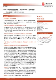 原油周报第174期：IEA下调原油需求预期，关注OPEC+减产动态