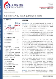 电子设备、仪器和元件行业周报：电子板块分歧严重，果链具备最明确的成长预期