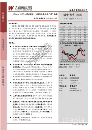 电子行业周观点:iPhone 12/Pro需求强劲,大陆代工龙头迎“芯”机遇
