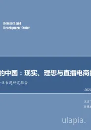 直播电商行业专题研究报告：辛巴背后的中国：现实、理想与直播电商的乘风破浪