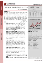 电子行业三季报综述报告:板块加速回暖,销货旺季到来业绩进一步增长可期
