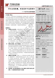 电子行业快评报告：华为出售荣耀，科技竞争中奋勇前行