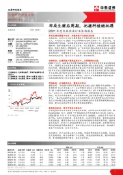 2021年度农林牧渔行业策略报告：布局生猪后周期，把握种植链机遇