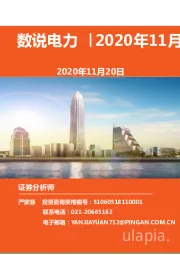 数说电力：2020年11月刊