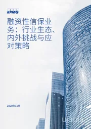 融资性信保业务：行业生态、内外挑战与应对策略