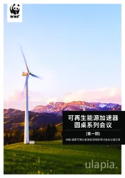 能源：可再生能源加速器圆桌系列会议（第一期）