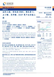 基础化工行业周报：油价上涨，有机硅DMC、维生素C、正丁醇、异辛醇、DOP等产品价格上涨