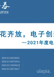 2021年度电子行业投资策略：芯片百花齐放，电子创新不止