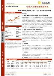 电新产业链价格跟踪简报：磷酸铁锂价格继续上涨，光伏产业链价格持稳