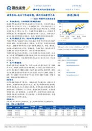 2021年燃料电池行业策略报告：政策落地+成本下降超预期，燃料电池黎明已至