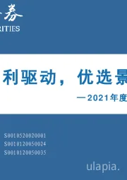 2021年度计算机行业投资策略：四大红利驱动，优选景气赛道