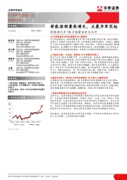 新能源汽车10月销量分析与点评：新能源销量高增长，五菱异军突起