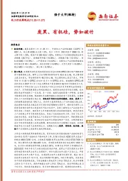 化工行业周观点：炭黑、有机硅，势如破竹