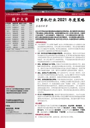 计算机行业2021年度策略：长尾的新章