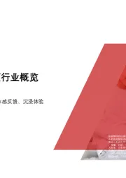 2020年中国互动视频行业概览