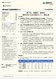 燃料电池产业系列报告之十二：MEA篇-国产化、规模化、精细化