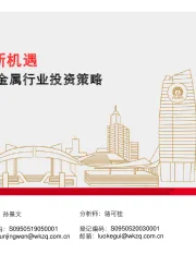 2021年有色金属行业投资策略：新经济，新机遇