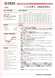 化妆品行业点评：11月大促景气，功能性护肤突出