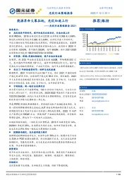 光伏行业策略报告2021：能源革命大幕拉起，光伏加速上行