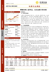 电新行业周报：磷酸铁锂上量明显，光伏抢装行情延续