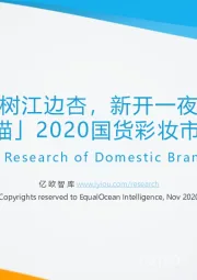 2020国货彩妆市场研究报告：“万树江边杏，新开一夜风”