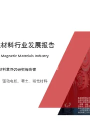 2020年中国汽车磁性材料行业发展报告