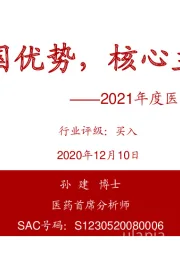 2021年度医药行业投资策略：中国优势，核心主线