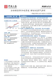 新能源锂电池系列报告之年度策略：全球新能源车加速渗透 锂电池高景气持续