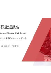2020年中国外接键盘行业短报告