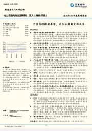 光伏行业年度策略报告：平价引领能源革命，龙头从周期走向成长