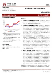 锂电池行业月报：销量超预期，积极关注板块机会
