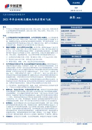 汽车行业新能源车销量点评：2021年车企的跑马圈地与供应商的飞跃