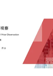 2020H1中国原油价格观察