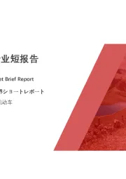 2020年中国摩托车行业短报告