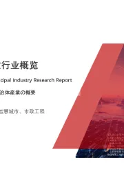 2020年中国智慧市政行业概览