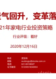 2021年家电行业投资策略：景气回升，变革落地