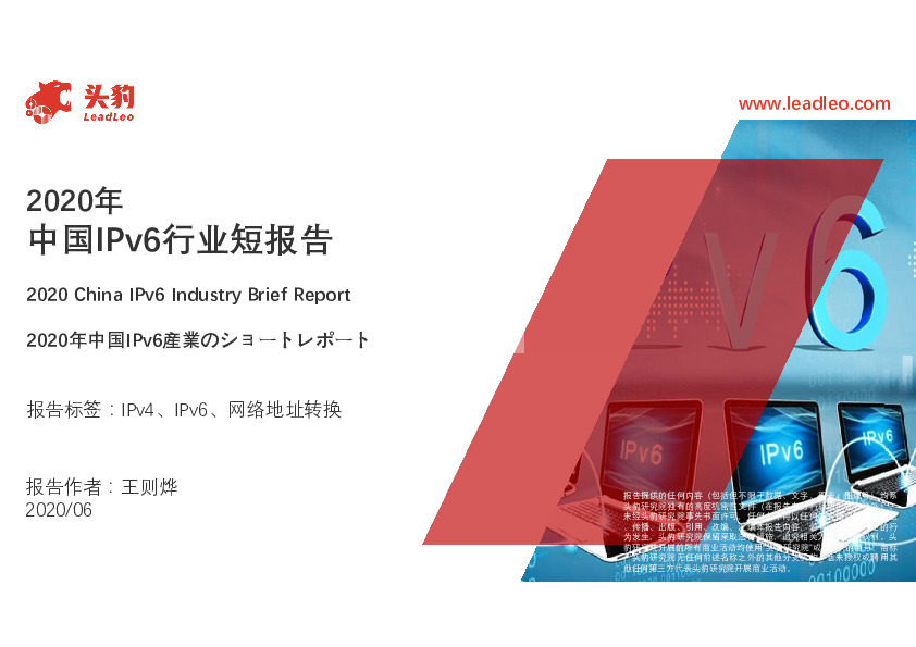 2020年中国IPV6行业短报告