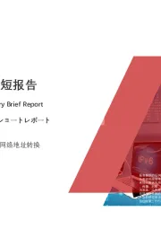 2020年中国IPV6行业短报告