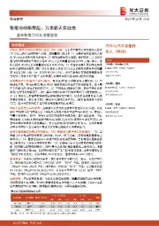 造车新势力行业深度报告:智能电动新势起,万类霜天竞自由