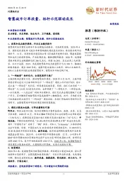 计算机行业投资周报：智慧城市订单放量，标杆示范驱动成长