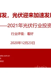 2021年光伏行业投资策略：厚积薄发，光伏迎来加速发展期