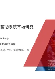 2020年中国高级驾驶辅助系统市场研究报告