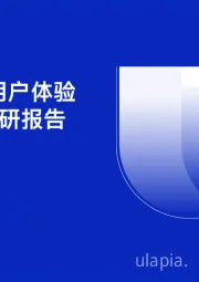 互联网行业：2020中国用户体验行业发展调研报告