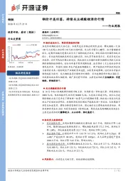 钢铁行业周报：钢价冲高回落，持续关注碳酸锂涨价行情