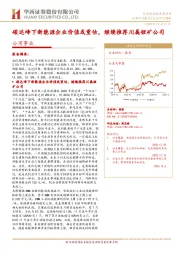公用事业行业研究周报：碳达峰下新能源企业价值或重估，继续推荐川属锂矿公司